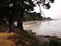 Thassos Glykadi 2
